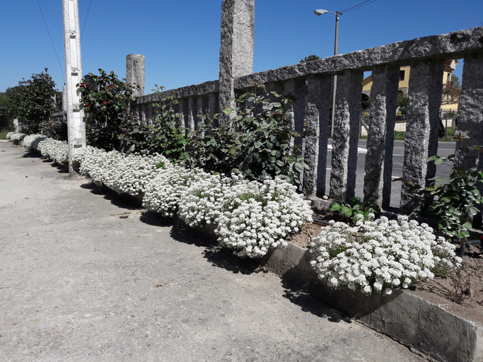 Others 5, Hostal Sequeiros, Ourense