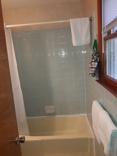 Bathroom 3, Catskill Motor Court Motel, Greene