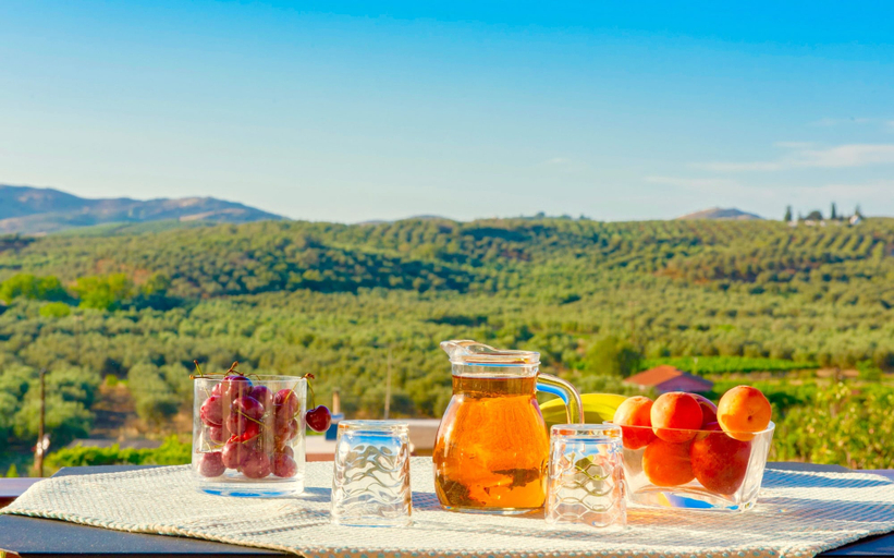 Food & Drinks 5, Villa Korini, Crete