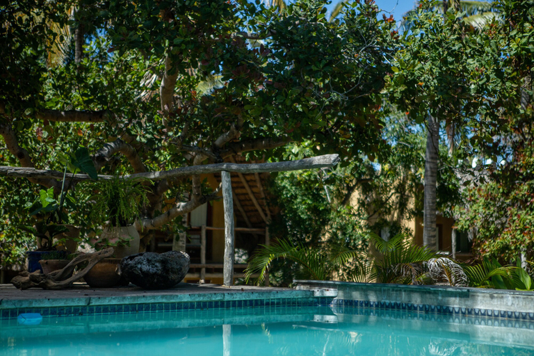 Sport & Beauty 5, Turtle Cove Lodge and Yoga Shala, Jangamo