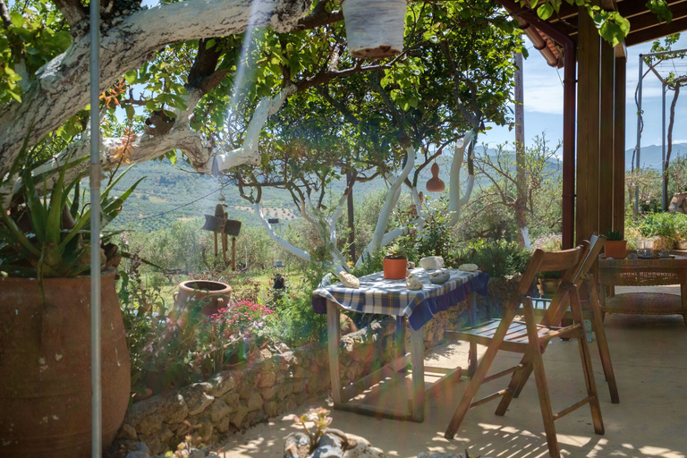Terrace/patio 5, Traditional Cretan Family Home, Crete