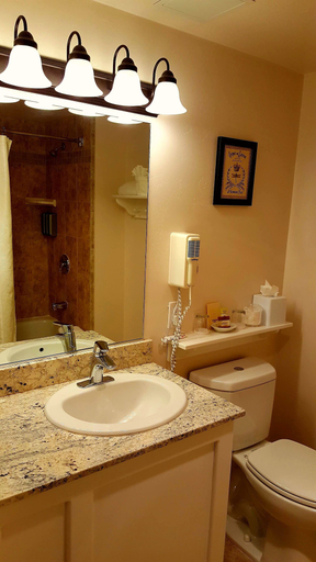 Bathroom 4, The Monterey Hotel, Monterey