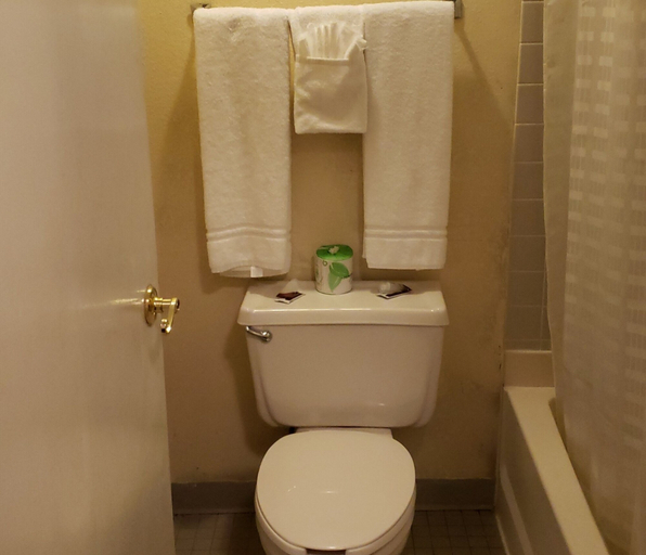 Bathroom 4, Americourt Hotel, Johnson