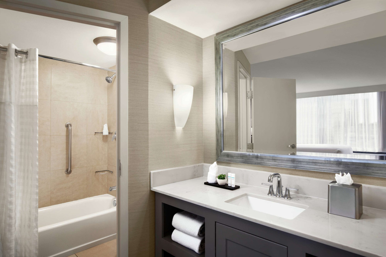 Bathroom 4, Embassy Suites by Hilton Fort Worth Downtown, Fort Worth