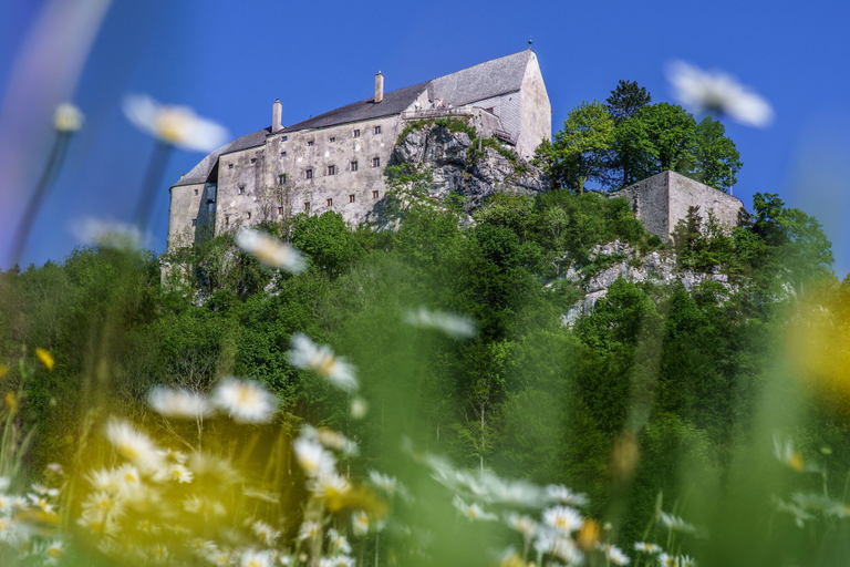 Exterior & Views 2, Burg Altpernstein, Kirchdorf an der Krems