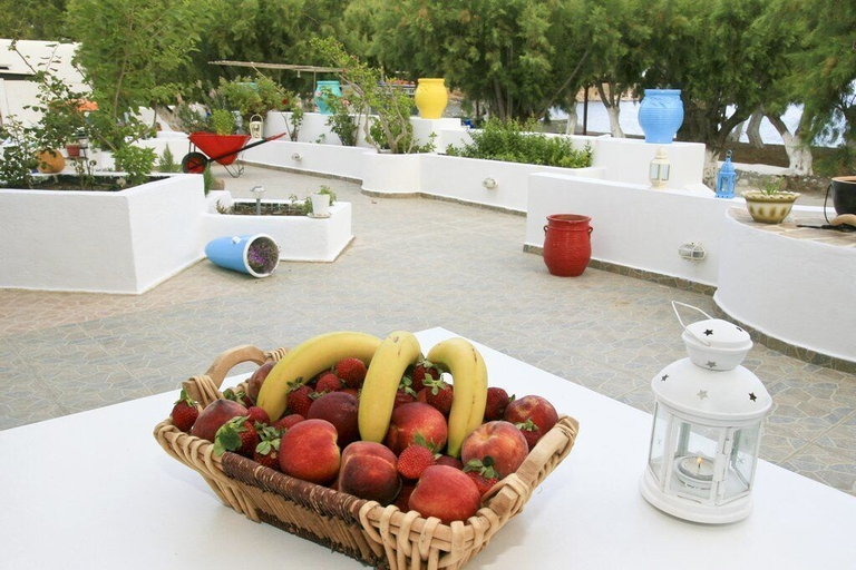 Food & Drinks 5, Maganas Hotel, South Aegean