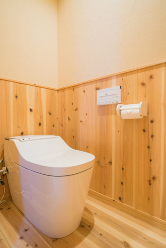 Bathroom 3, Harukiya, Osaka