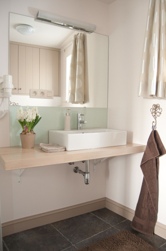 Bathroom 5, De Fruithoeve, Limburg