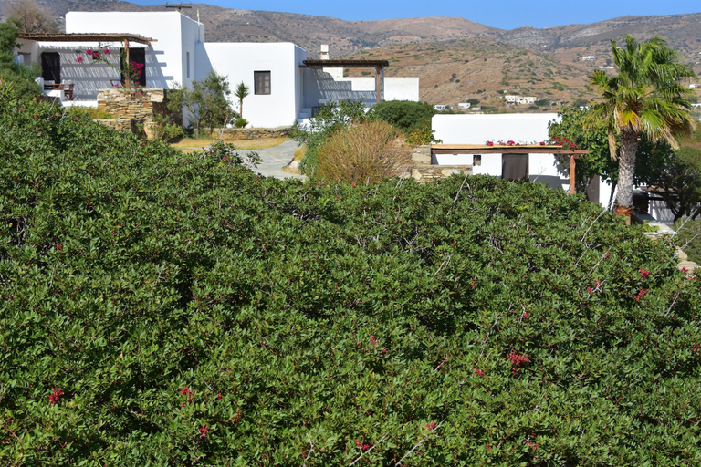 Exterior & Views 2, Petra Holiday Village, South Aegean