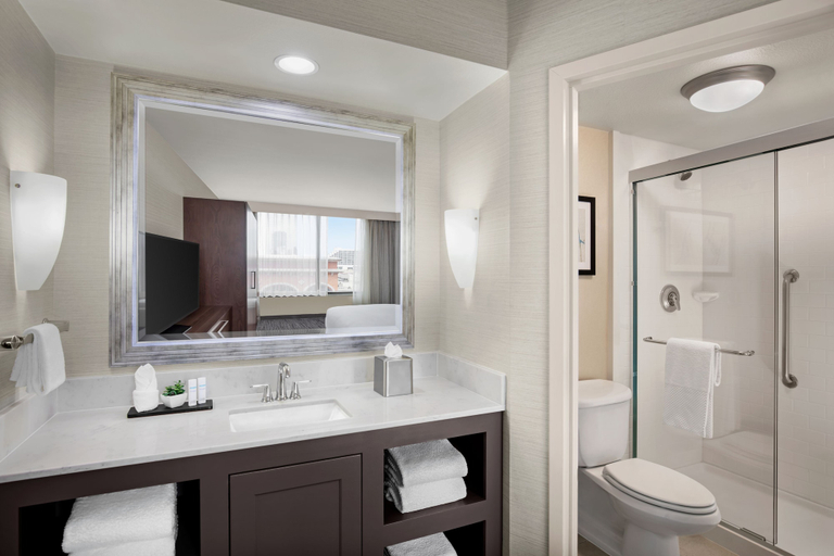 Bathroom 4, Embassy Suites by Hilton Fort Worth Downtown, Fort Worth