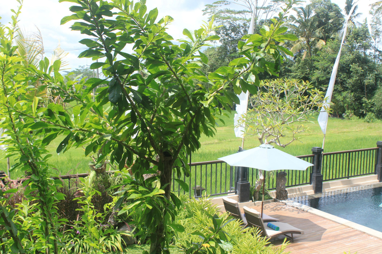 Sport & Beauty 2, Onje Resort and Villas, Gianyar