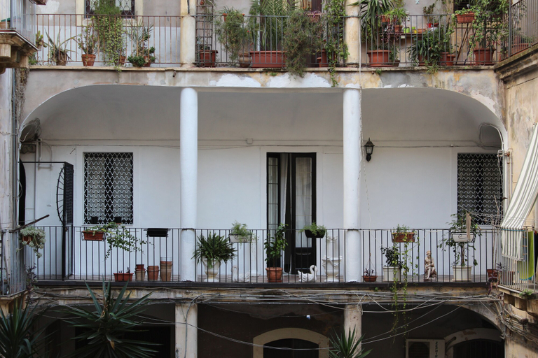 Exterior & Views, Musa, Catania