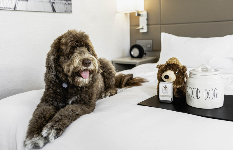 Bedroom 3, AC Hotel by Marriott Beverly Hills, Los Angeles