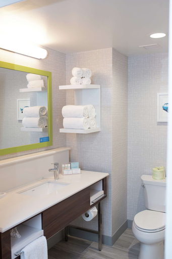 Bathroom 4, Hampton Inn & Suites Dundee, Monroe