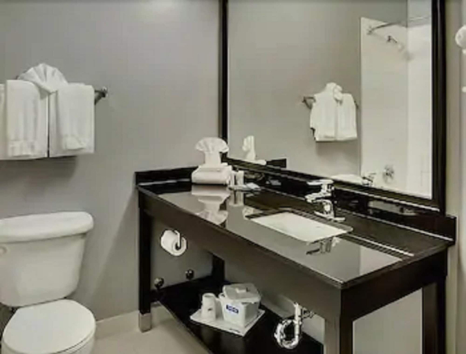 Bathroom 4, Travelodge by Wyndham Sudbury, Greater Sudbury