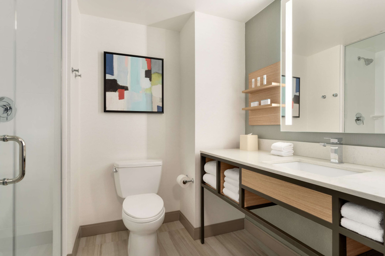 Bathroom 4, Hilton Garden Inn Tysons Corner, Fairfax