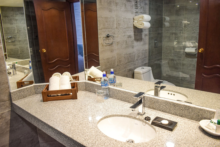 Bathroom 4, Hotel Presidente, Pedro Domingo Murillo