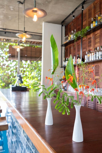 Food & Drinks 5, Pippali Hotel, Kampot