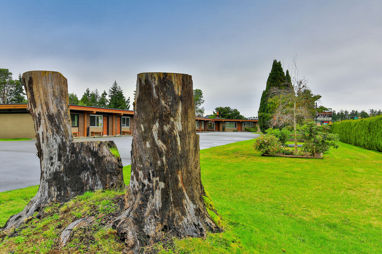 Others 5, Arbutus Grove Motel, Nanaimo