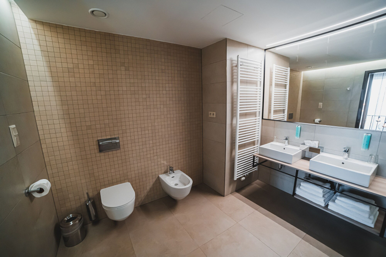 Bathroom 4, Avenue Pallova 28, Plzeň