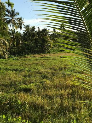 Others 4, Siyambala Villa, Habaraduwa