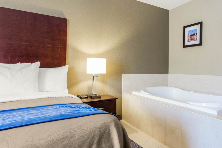 Bedroom 3, Comfort Inn Atlanta Downtown South, Atlanta