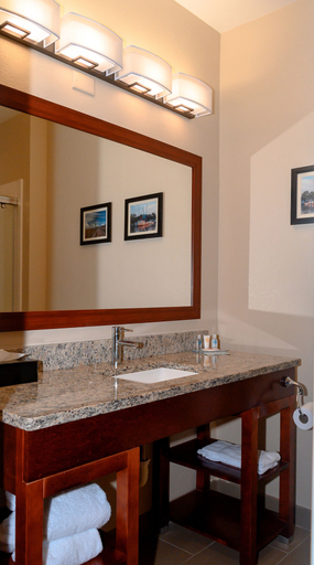Bathroom 5, Comfort Inn & Suites Patriots Point, Charleston
