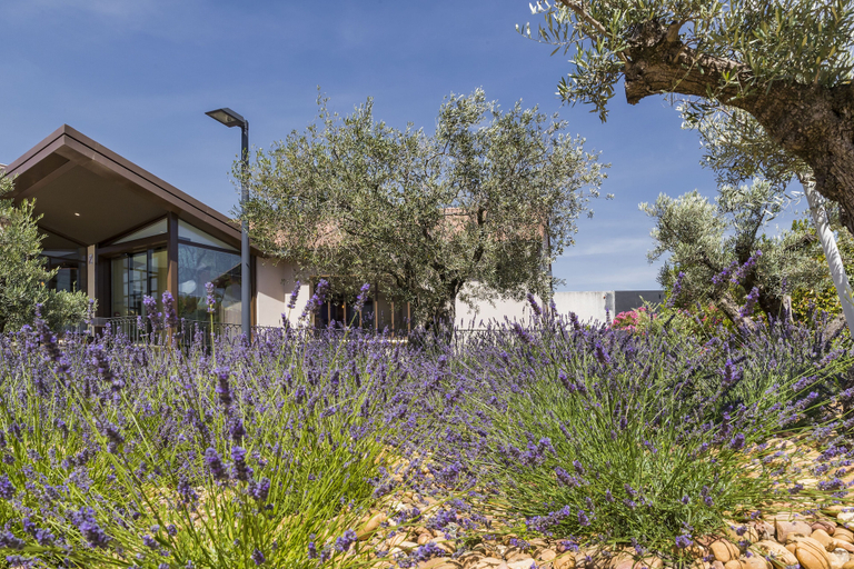 Exterior & Views 2, Terre de Provence Hôtel & Spa, Vaucluse