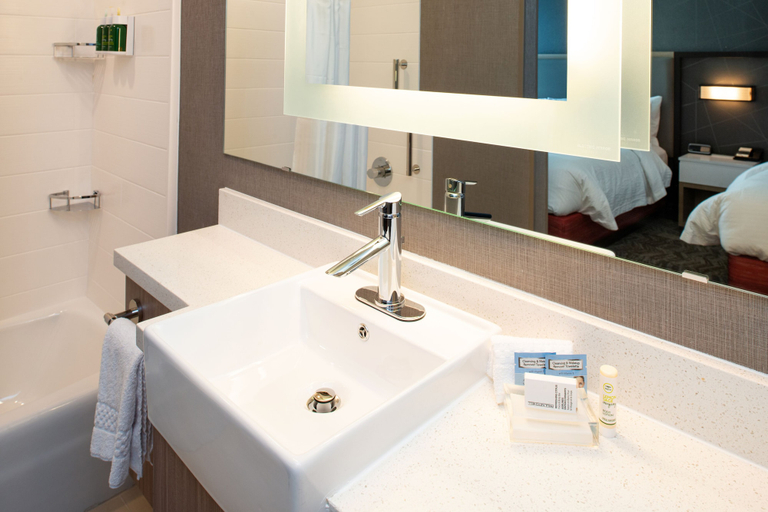Bathroom 5, SPRINGHILL SUITES KANSAS CITY NORTHEAST, Kansas City