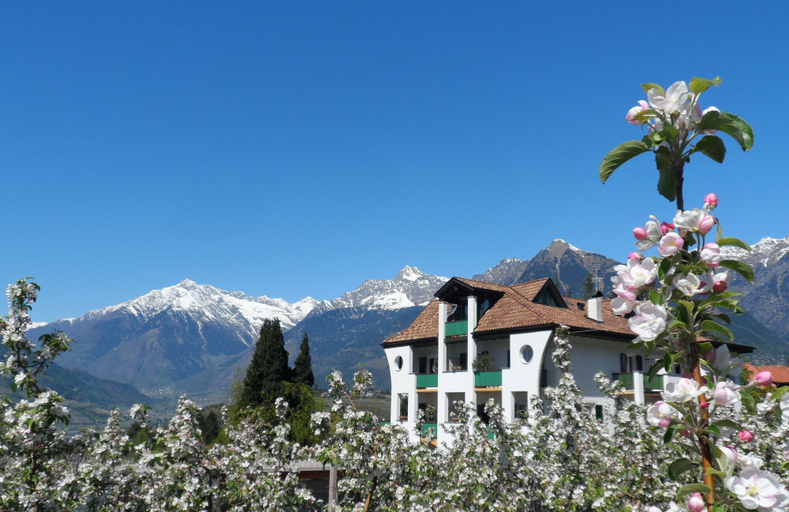 Exterior & Views 2, Hotel Pension Verdorfer, Bolzano