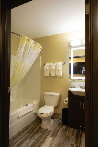 Bathroom 5, Hawthorn Extended Stay by Wyndham Saint Robert, Pulaski