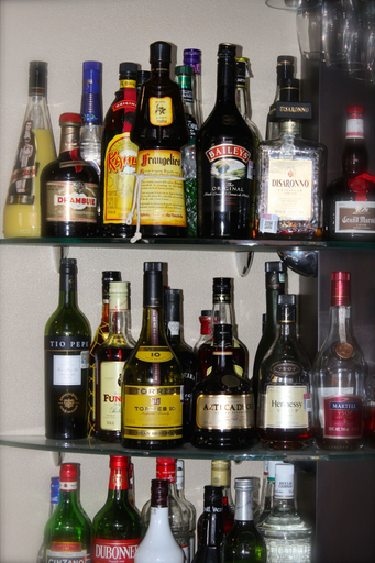 Food & Drinks 5, Hotel Brasilia, Mexico City