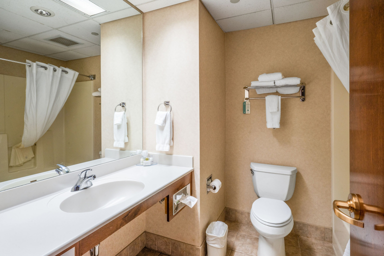 Bathroom 4, The Lodge at Big Sky, Madison