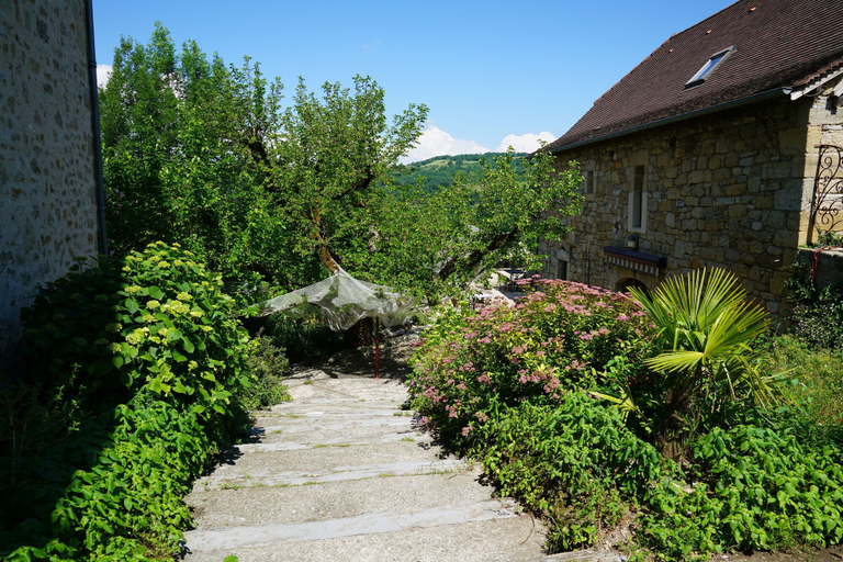 Exterior & Views 2, Le Mûrier de Viels, Aveyron