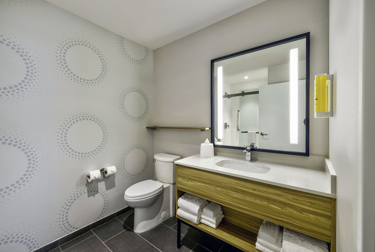 Bathroom 4, Home2 Suites by Hilton Minneapolis Downtown, MN, Hennepin