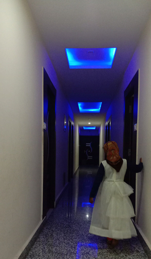 Others 4, Hotel The Royal Buddha, Gaya