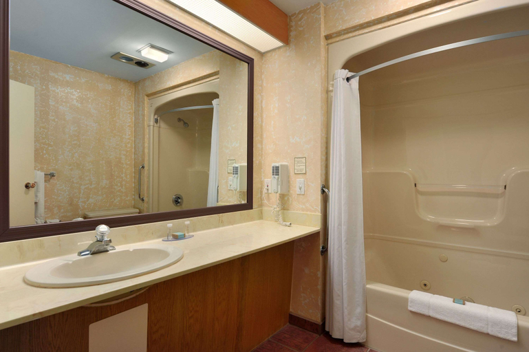 Bathroom 4, Travelodge by Wyndham Simcoe, Haldimand-Norfolk