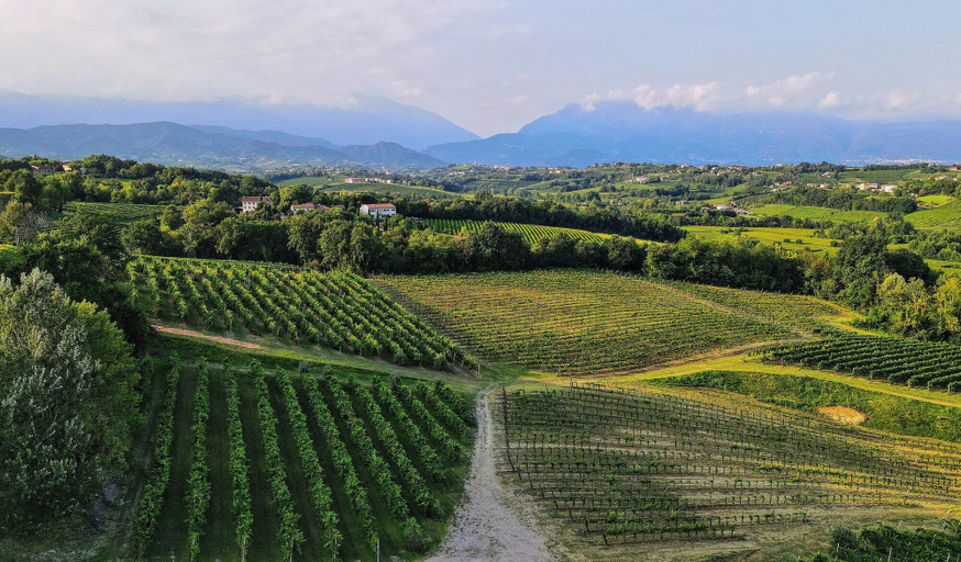Others 5, Tenuta Mani Sagge, Treviso
