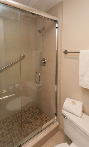 Bathroom 4, Kings Courtyard Inn, Charleston