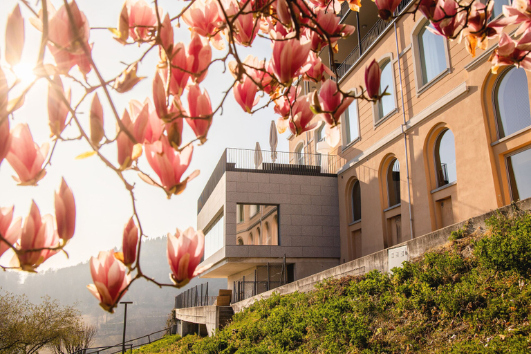 Exterior & Views 2, Kurhaus Cademario Hotel & SPA, Lugano