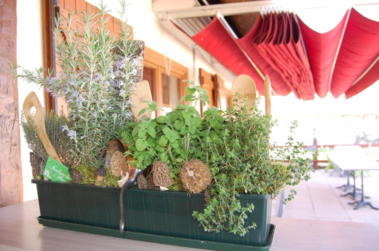 Others 5, Logis Hotel Le Relais Saint Michel, Haute-Marne