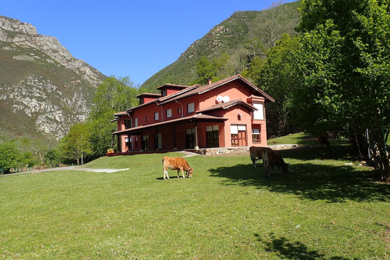 Exterior & Views 2, Albergue Los Avellanos - Hostel, Asturias
