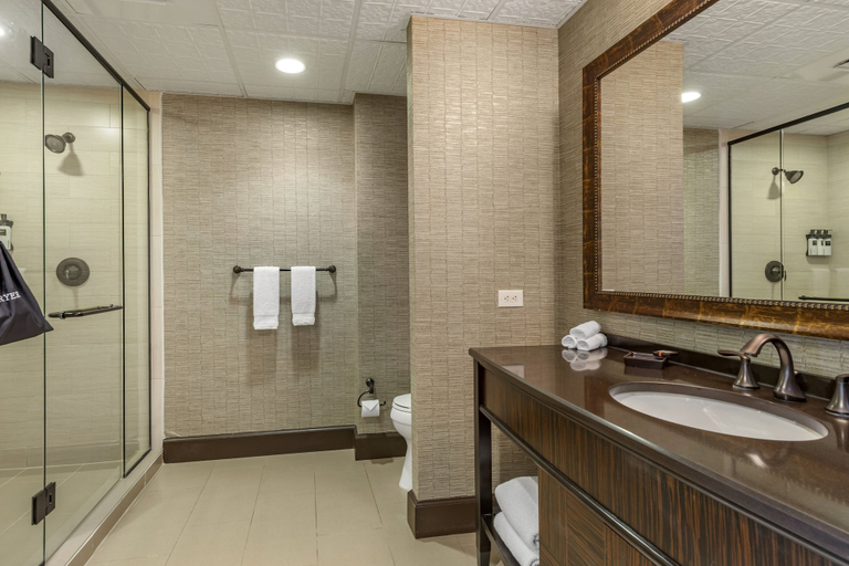 Bathroom 5, Omni Austin Hotel, Travis