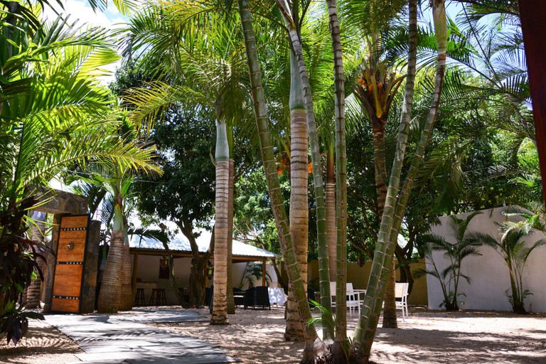 Exterior & Views 2, La Margarita
