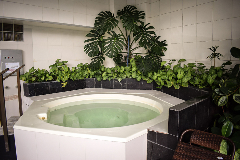 Bathroom 4, Hotel Presidente, Pedro Domingo Murillo
