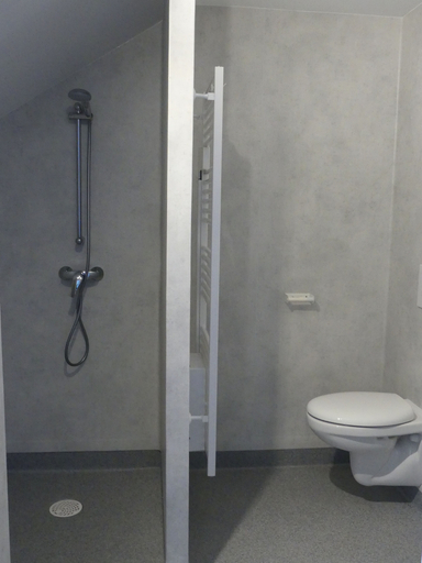 Bathroom 5, Hotel Restaurant Du Haut-Allier, Haute-Loire