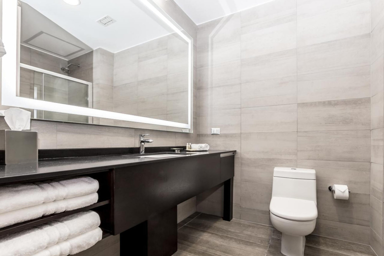 Bathroom 5, Wyndham Santiago Aeropuerto, Santiago