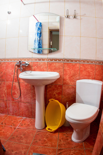 Bathroom 3, Samuel, Sochi gorsovet