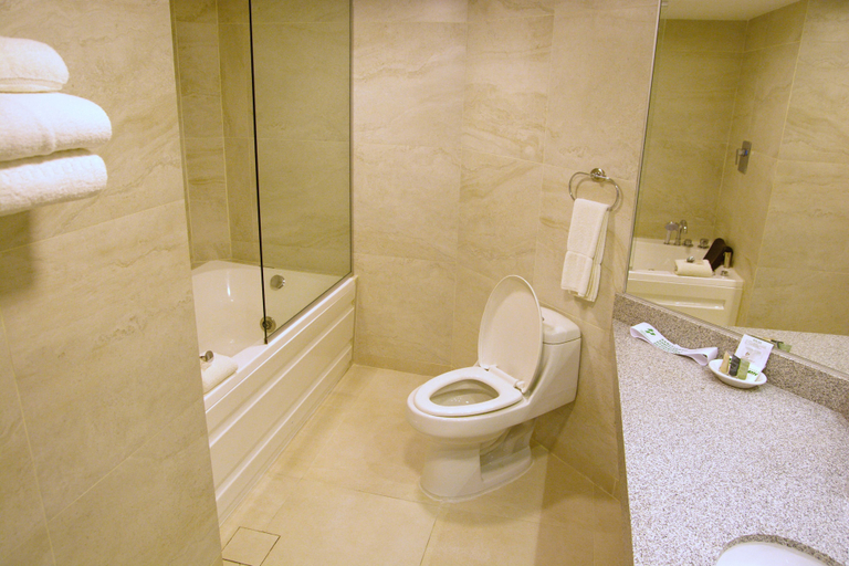 Bathroom 4, Hotel Presidente, Pedro Domingo Murillo