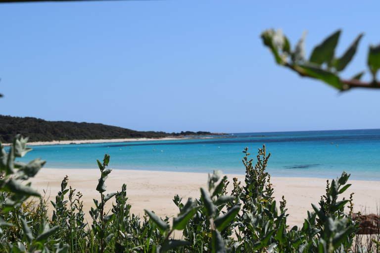 Others 4, Eagle Bay House, Busselton